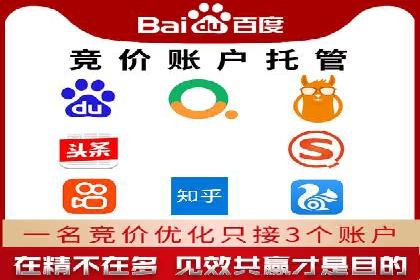 竞价推广代运营成功案例分析